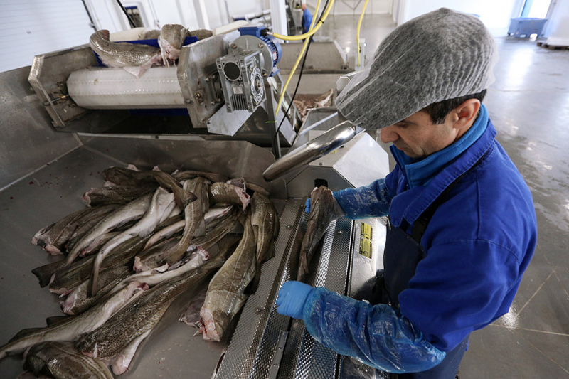 Трутнев: Рыбная продукция должна полностью перерабатываться в России