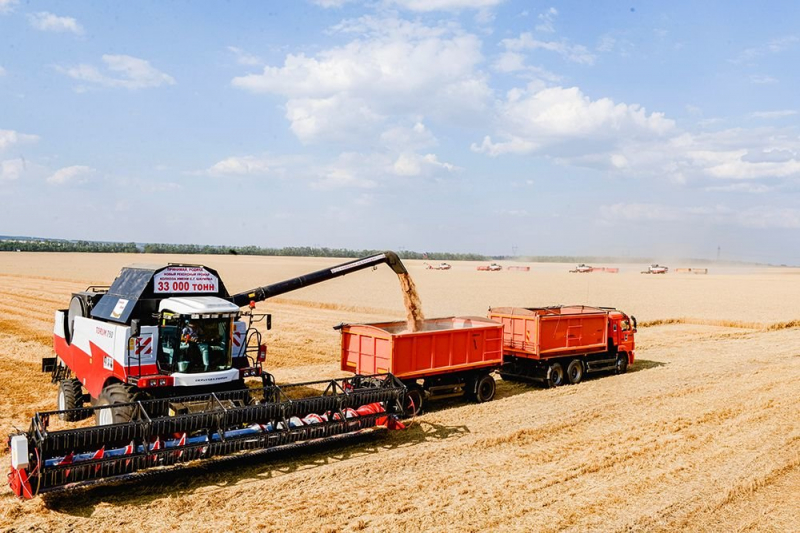 Минсельхоз подсчитал, какой урожай зерна соберет Россия в этом году