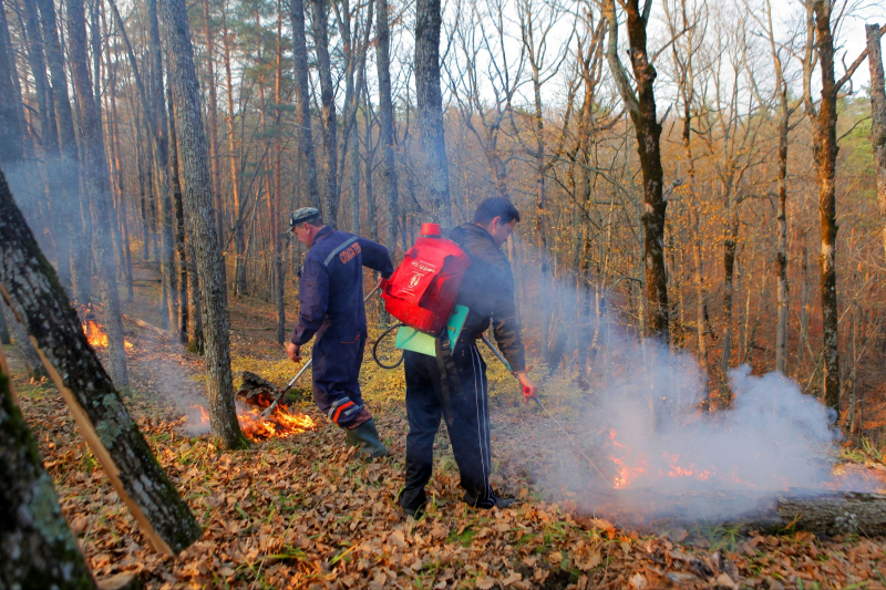 Регионы получат 2,8 млрд рублей на тушение лесных пожаров