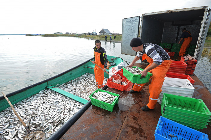 Правительство пересмотрит сборы за вылов рыбы и морепродуктов