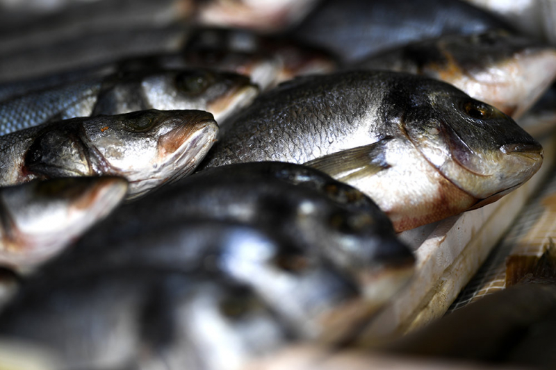 Что будет с ценами на рыбу после повышения ставок налога